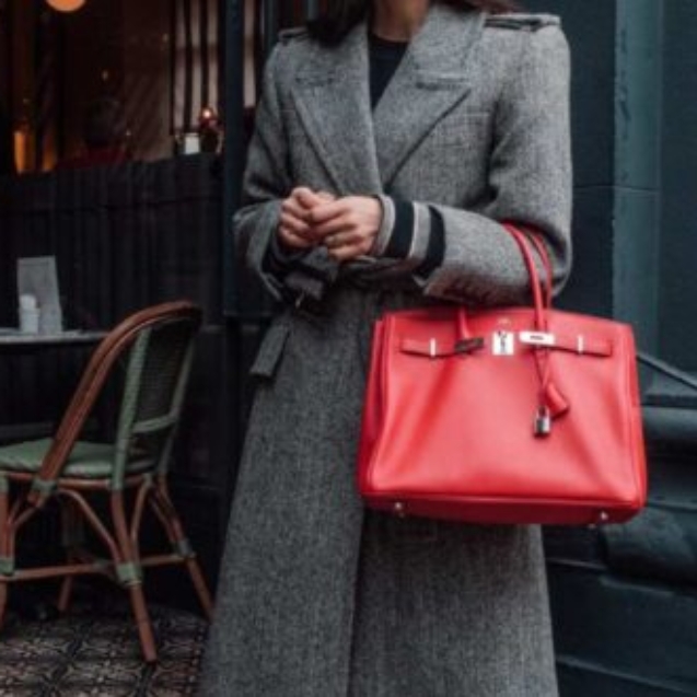 BirkinBag_4-500x330