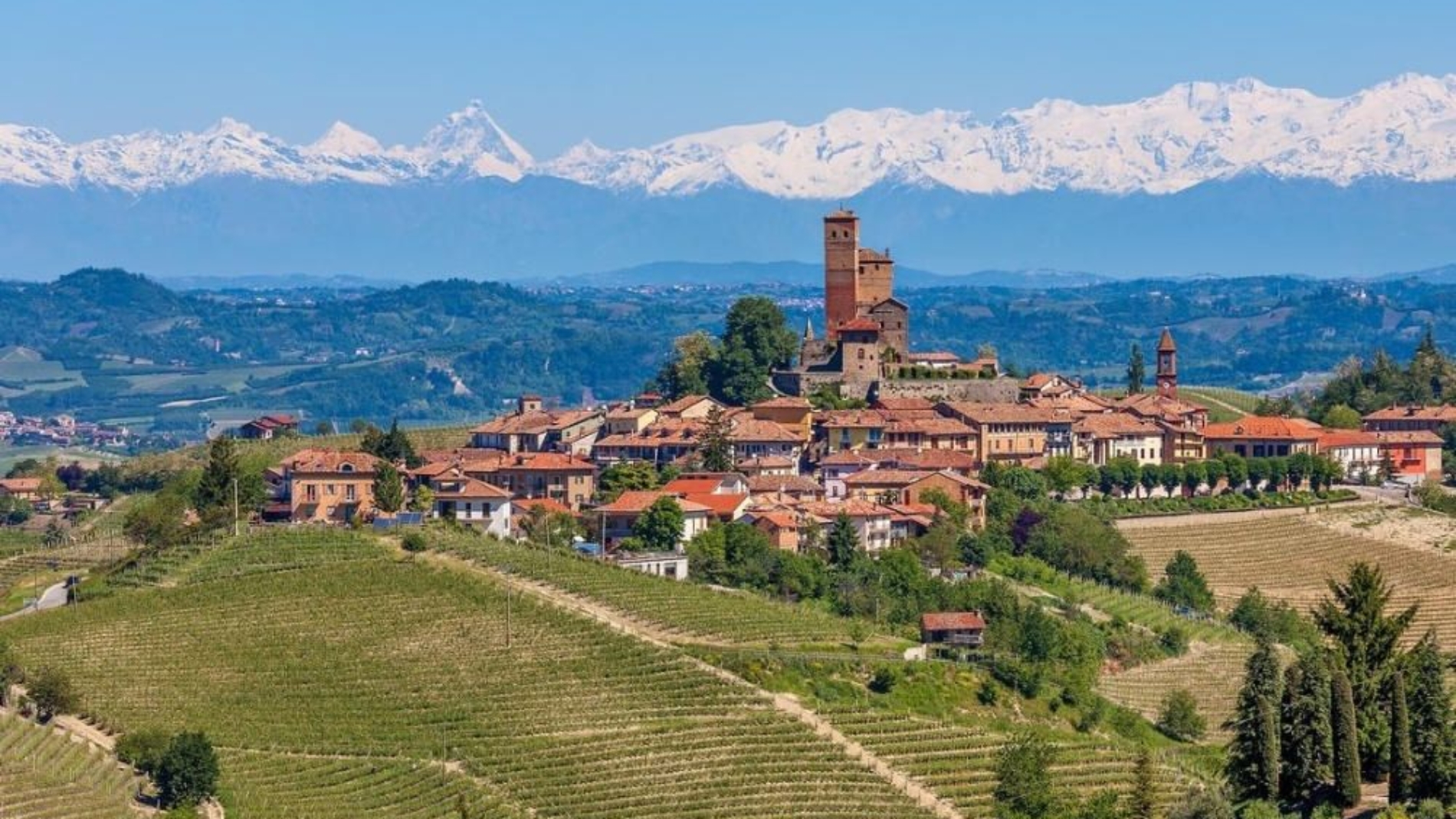 barolo-tasting_ebf16f8fcd85daadbcc37c229e1e1055_t