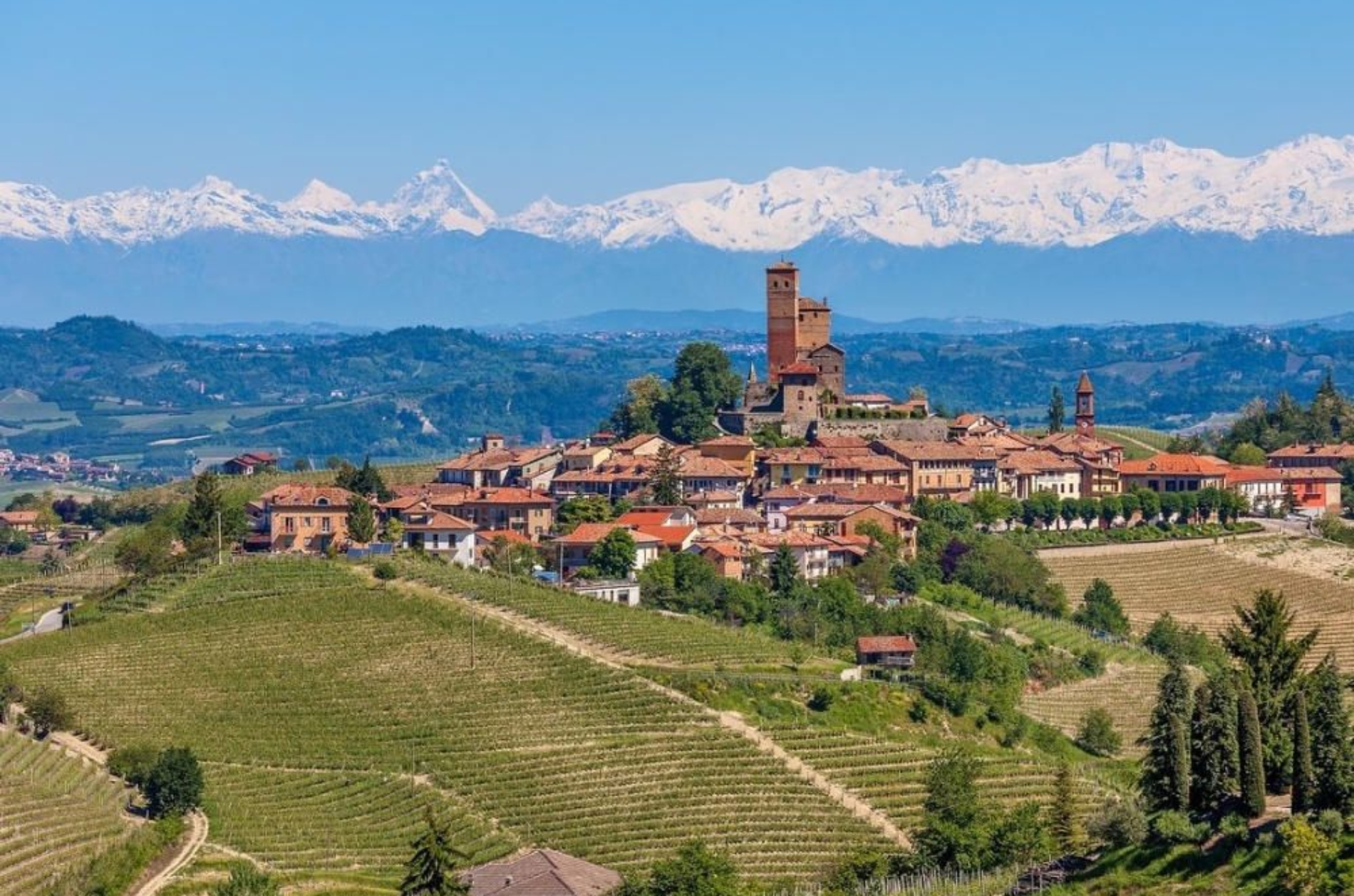 barolo-tasting_ebf16f8fcd85daadbcc37c229e1e1055_t