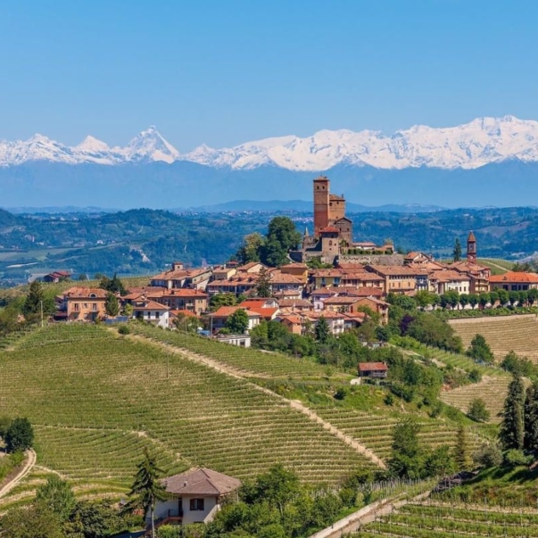 barolo-tasting_ebf16f8fcd85daadbcc37c229e1e1055_t