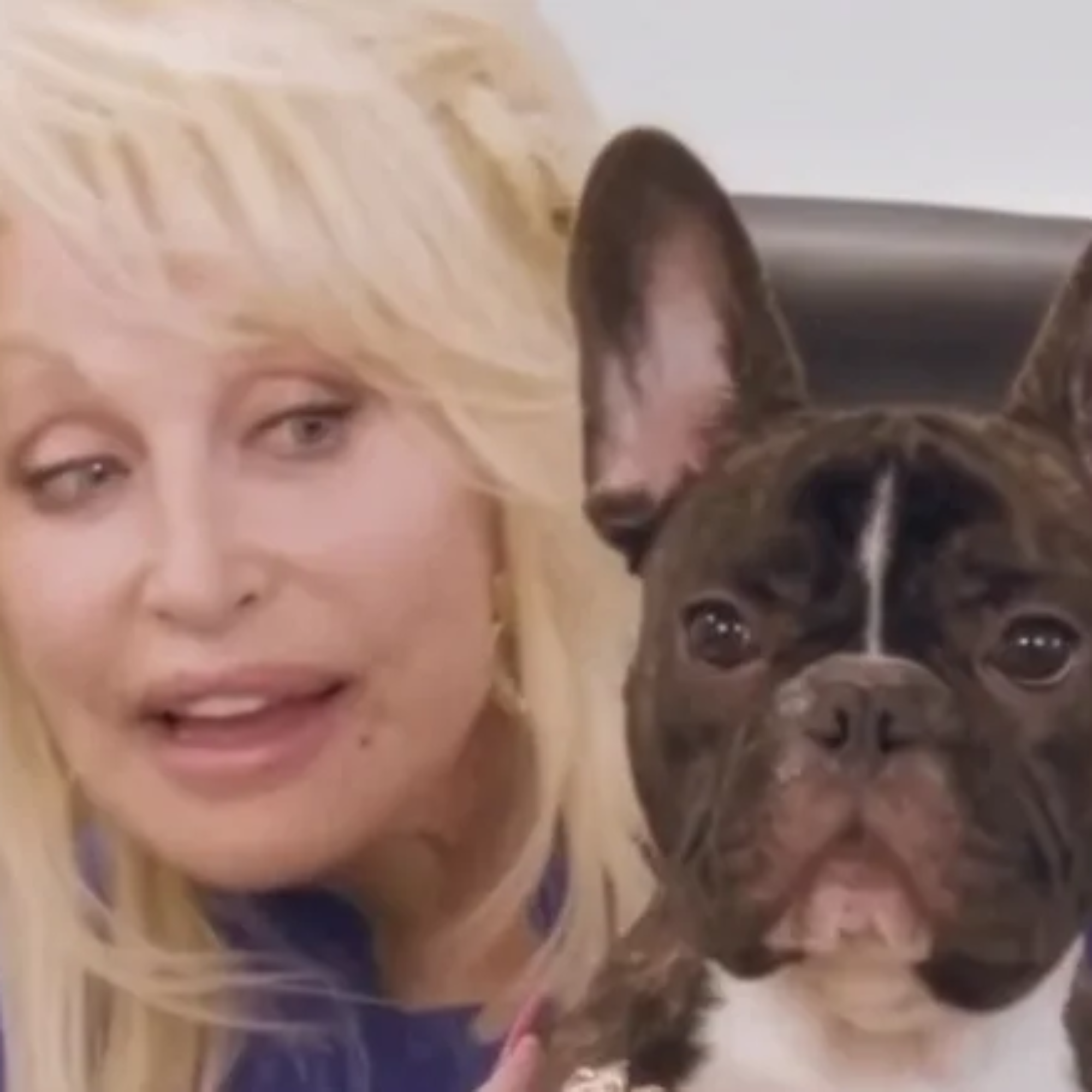 dolly parton